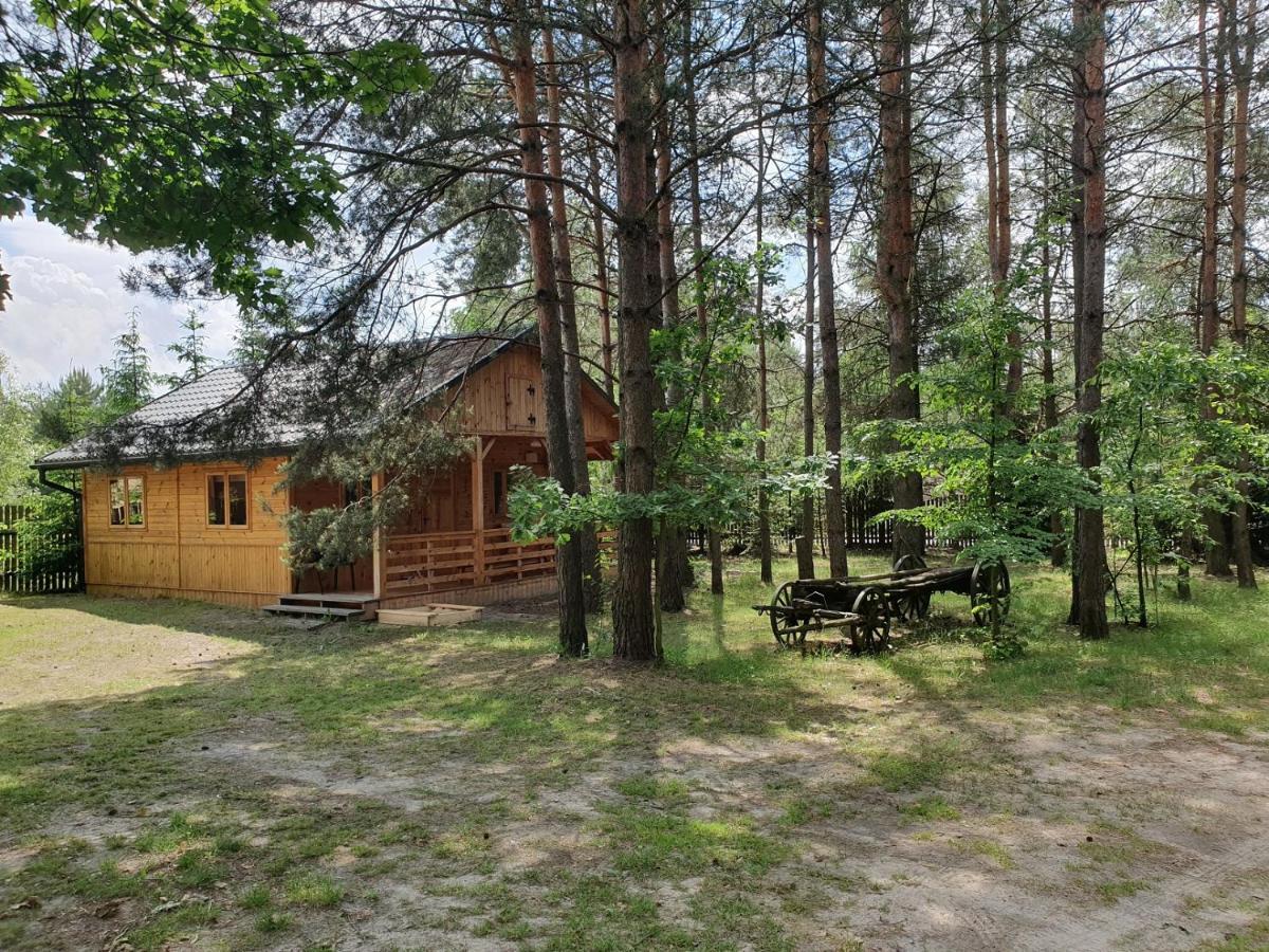 Roztocze U Aleksa Susiec - Jacuzii , Goraca Balia!!! Villa Ngoại thất bức ảnh