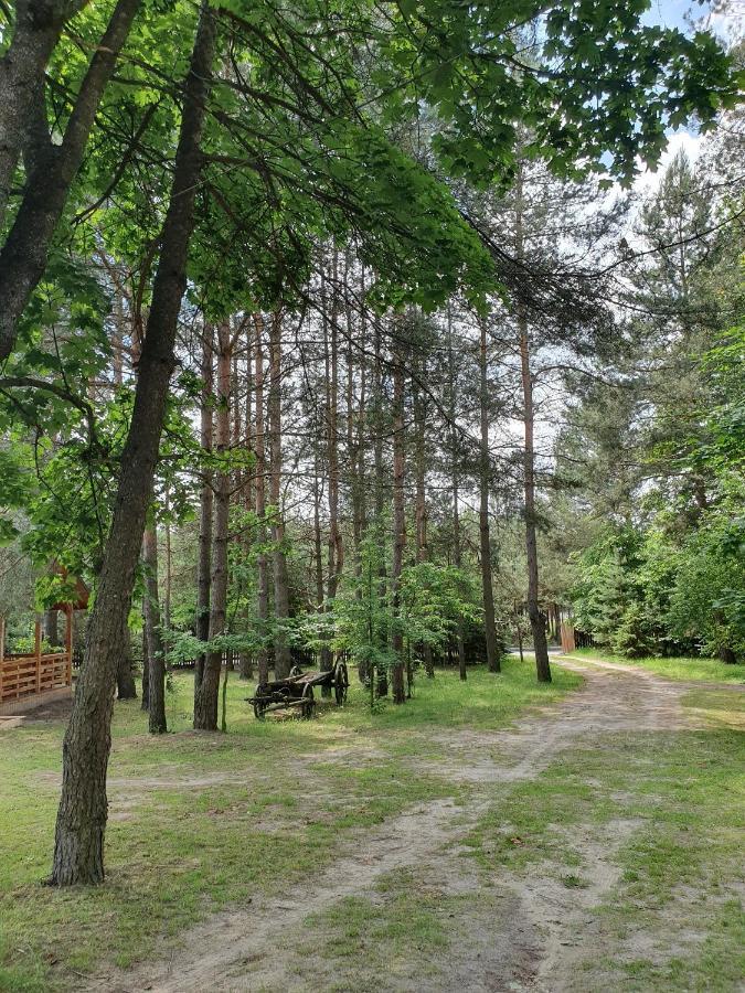 Roztocze U Aleksa Susiec - Jacuzii , Goraca Balia!!! Villa Ngoại thất bức ảnh